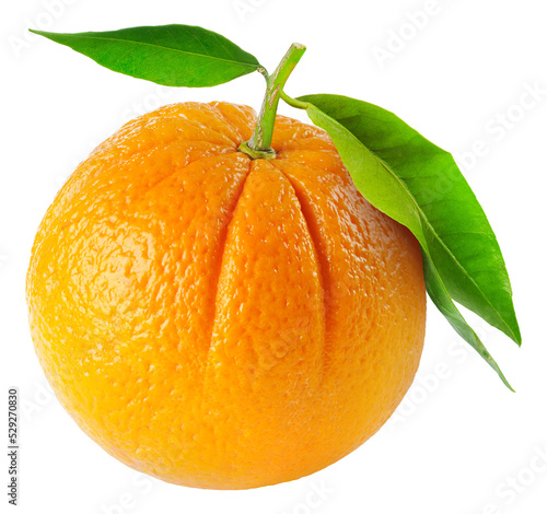 One orange fruit with leaves cut out photo