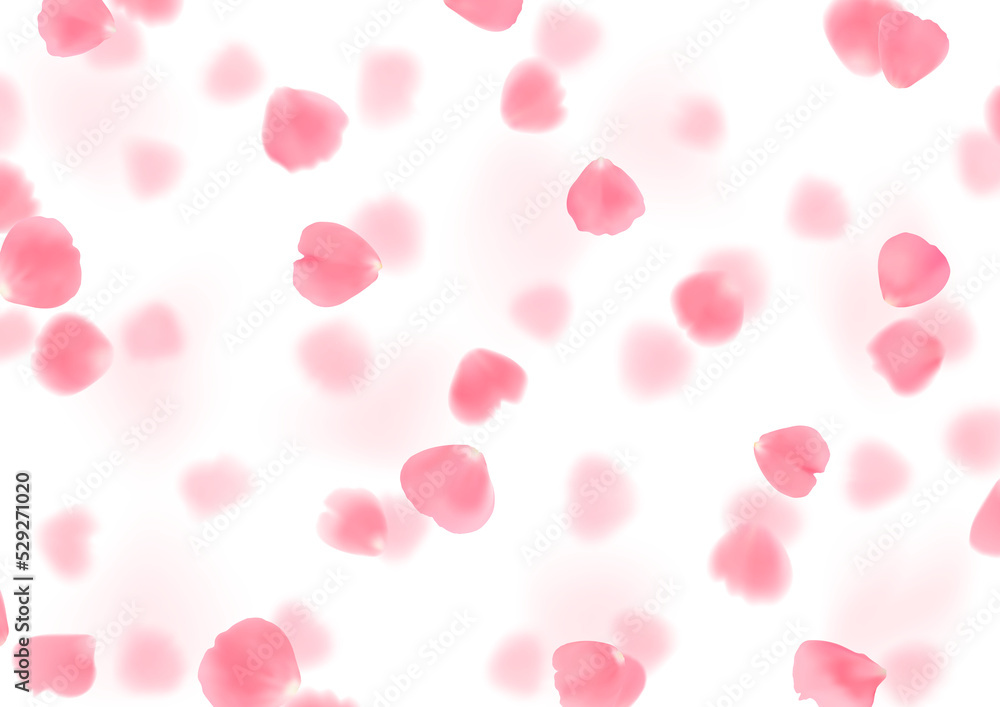 Illustration with realistic pink rose petals isolated on transparent background..