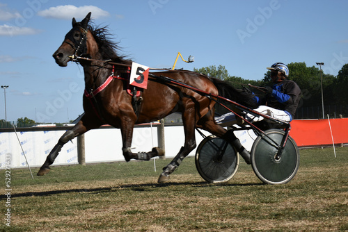 horse and rider during trotting race photo