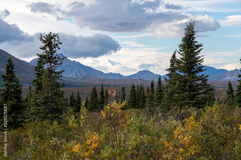 Denali from the National Park