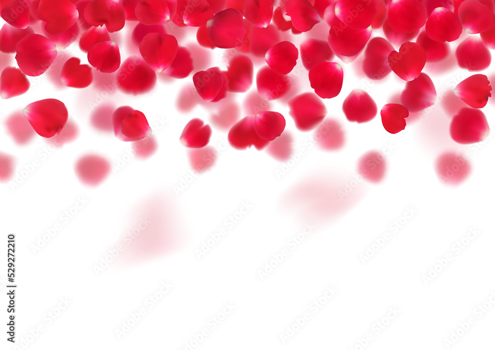 Illustration with realistic red rose petals isolated on transparent background. Illustration with realistic red rose petals isolated on transparent background.