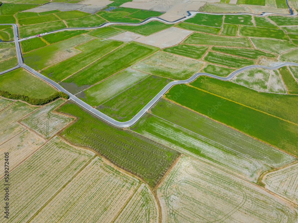 Fototapeta premium Top view of Dongshan rice meadow in Yilan of Taiwan