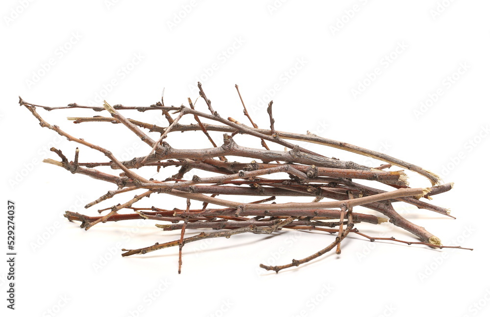 Obraz premium Dry branches, twigs isolated on white background