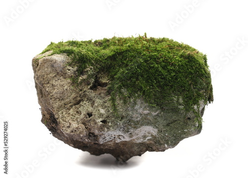 Green moss on stone, isolated on white background