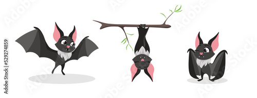 Vector illustration of cute and beautiful bats on white background. Charming characters in different poses fly, sleep upside down, winks in cartoon style.