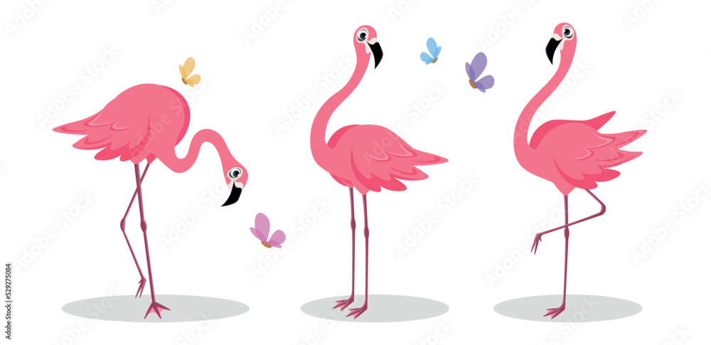 Fototapeta premium Vector illustration of cute and beautiful flamingos on white background. Charming characters in different poses in search of food, stands and looks at us, stands on one leg in cartoon style.