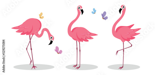 Vector illustration of cute and beautiful flamingos on white background. Charming characters in different poses in search of food, stands and looks at us, stands on one leg in cartoon style.