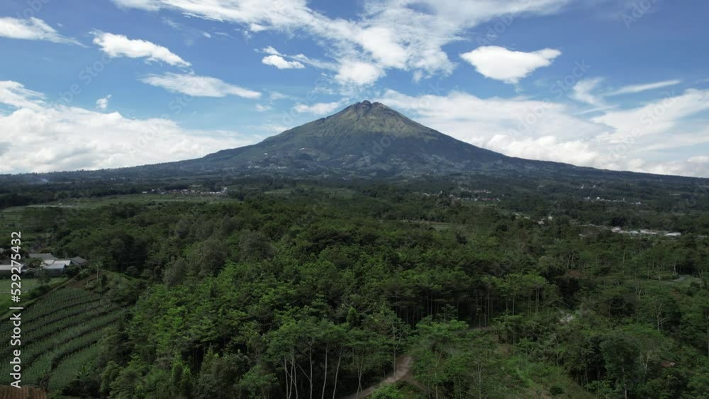Aerial green tea field in Wonosobo Indonesia. Green Tea with mountain Sumbing view Aerial green tea field in Wonosobo Indonesia. Green Tea with mountain Sumbing view