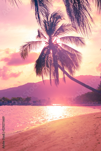 Tropical toned landscape.Coconut tree on the seashore bent over the water at sunset