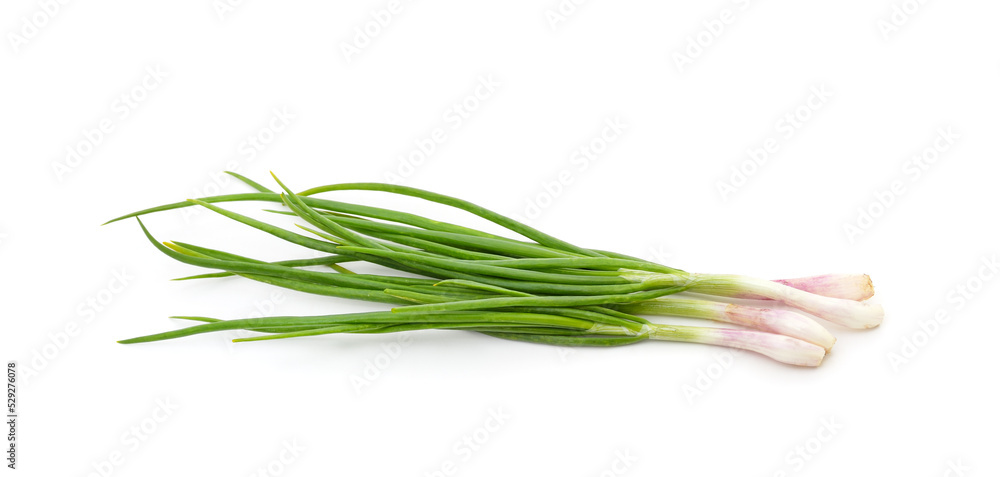 Green onion leaves.