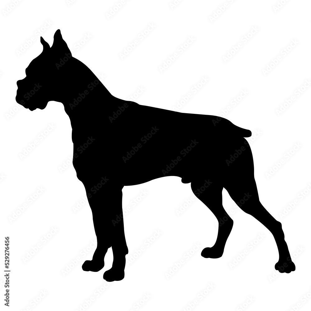 Silueta de perro boxer de pie aislado Silueta de perro boxer de pie aislado