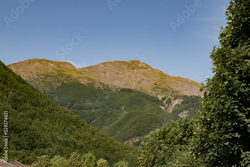 landscape with sky