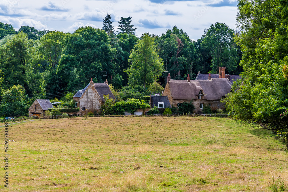 A view across fields towards a hamlet in Harlestone, Northampton, UK in summertime