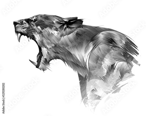 animal portrait of a lioness painted on a white background