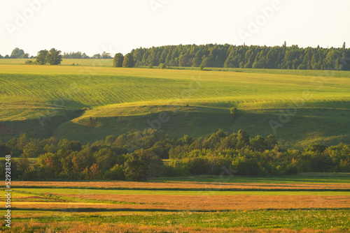 Beautiful hilly terrain with green pastures in the setting sun. Copy space.