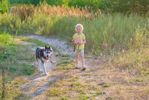 A small child girl walks with a husky dog. Bright sunny day. © Romafa