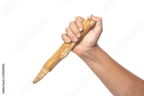 Wooden stake in hand on a white background. photo