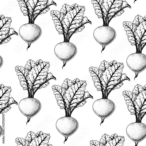 Beet seamless pattern. Hand drawn background. Vector illustration. Hand drawing sketch illustration. Beet vegetable hand drawn backdrop. Root vegetable.