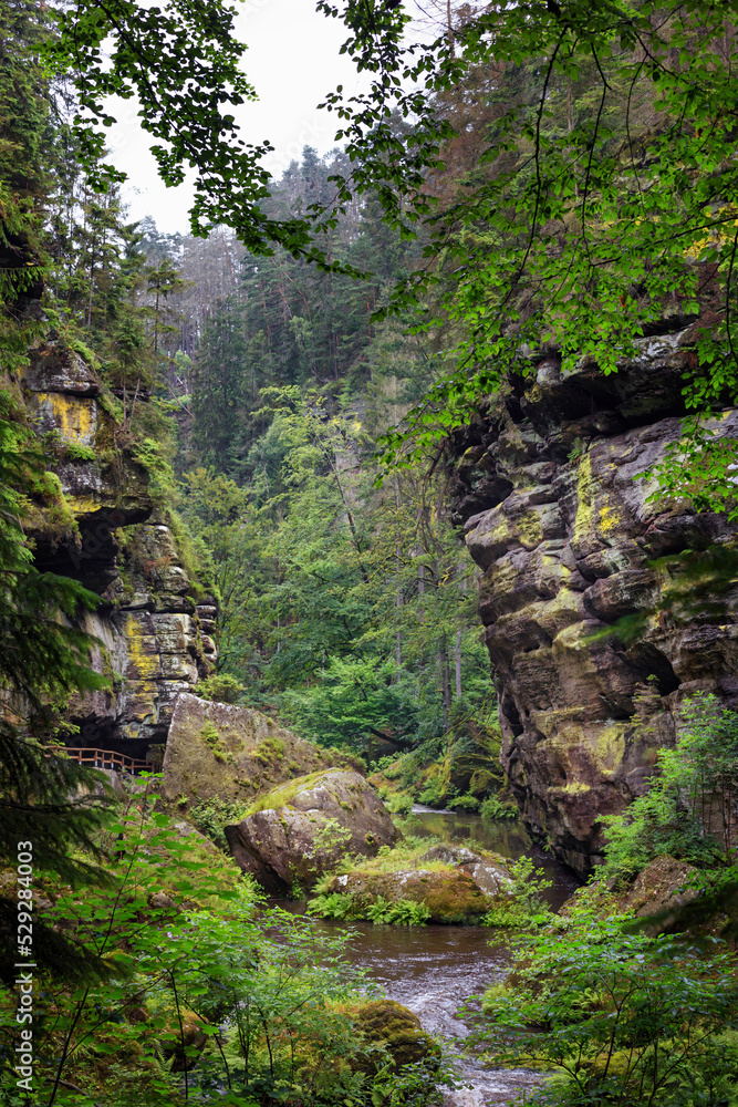 Summer natural landscape - view of rocks and mountain river in the Elbe sandstone mountains, Bohemian Switzerland, northwestern Czech Republic Summer natural landscape - view of rocks and mountain river in the Elbe sandstone mountains, Bohemian Switzerland, northwestern Czech Republic