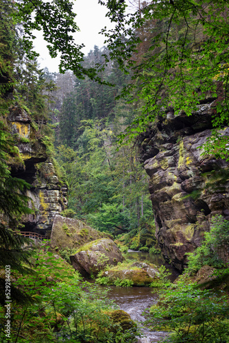 Summer natural landscape - view of rocks and mountain river in the Elbe sandstone mountains, Bohemian Switzerland, northwestern Czech Republic