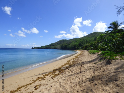 Fototapeta Naklejka Na Ścianę i Meble -  Deshaies Plage de Grande Anse Guadeloupe