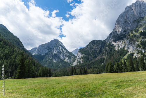 alpine meadow in the mountains, Malga Ciapela Village, Dolomites Alps, Italy 