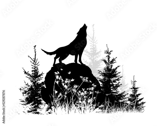 Silhouette of a wolf howling in the forest. Vector illustration