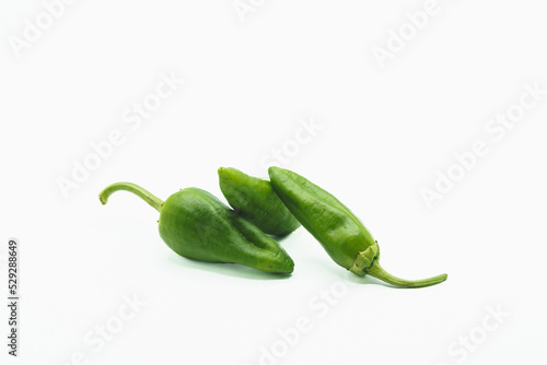 Padron peppers isolated on white background. Variety of pepper typical of Galicia, in Spain. photo