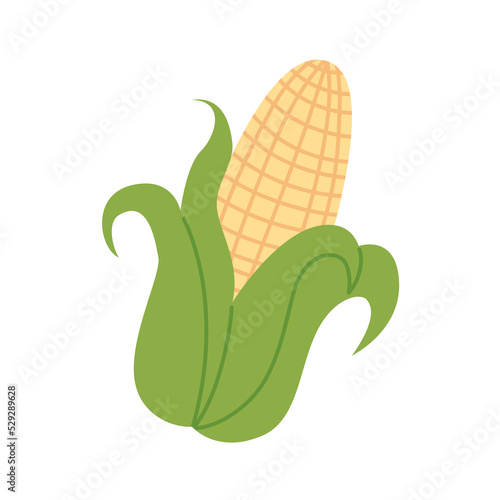 Sweet organic corncob. Ripe vegetable. Vector illustration isolated on white background.