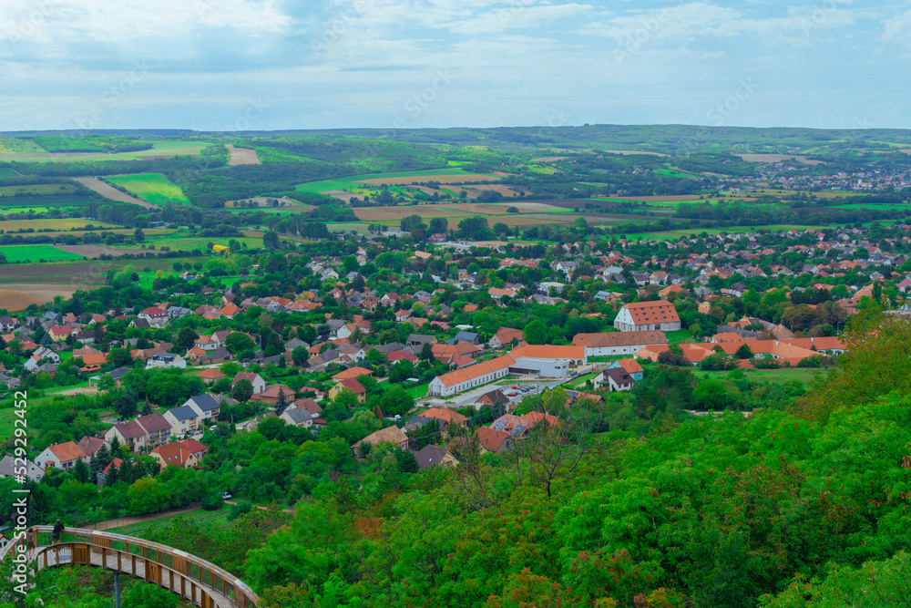 Beauitful village with green trees and grass In Hungary