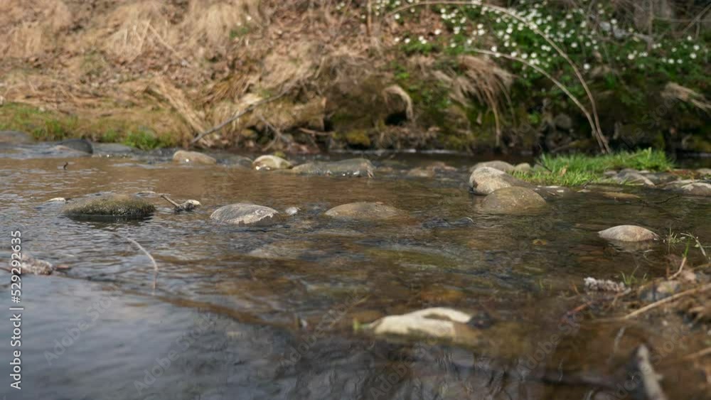 Small River Stone Stream. Spring Season Sunny Day. Rural Scene Background. Beautiful Nature Country. 2x Slow motion 60fps 4K Small River Stone Stream. Spring Season Sunny Day. Rural Scene Background. Beautiful Nature Country. 2x Slow motion 60fps 4K