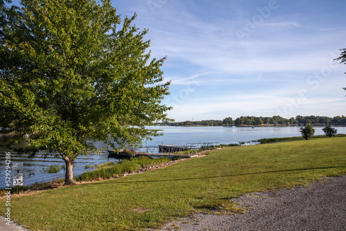 lake and trees