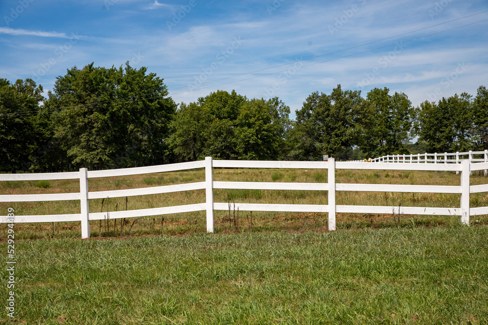 white fence and grass