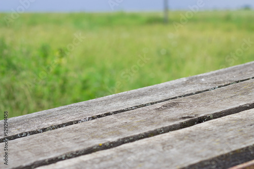 grey wooden planks in nature background with green grass and blue sky