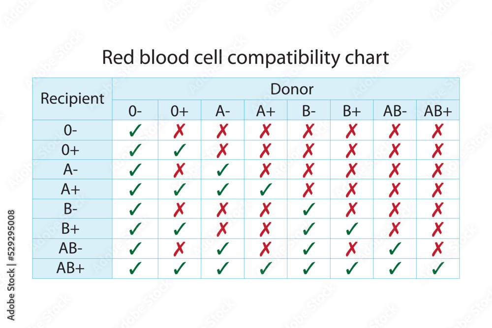 Red Blood Sell Compatibility Chart Recipient And Donor Blood Groups Stock Vector Adobe Stock