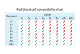 Red blood sell compatibility chart. Recipient and donor blood groups
