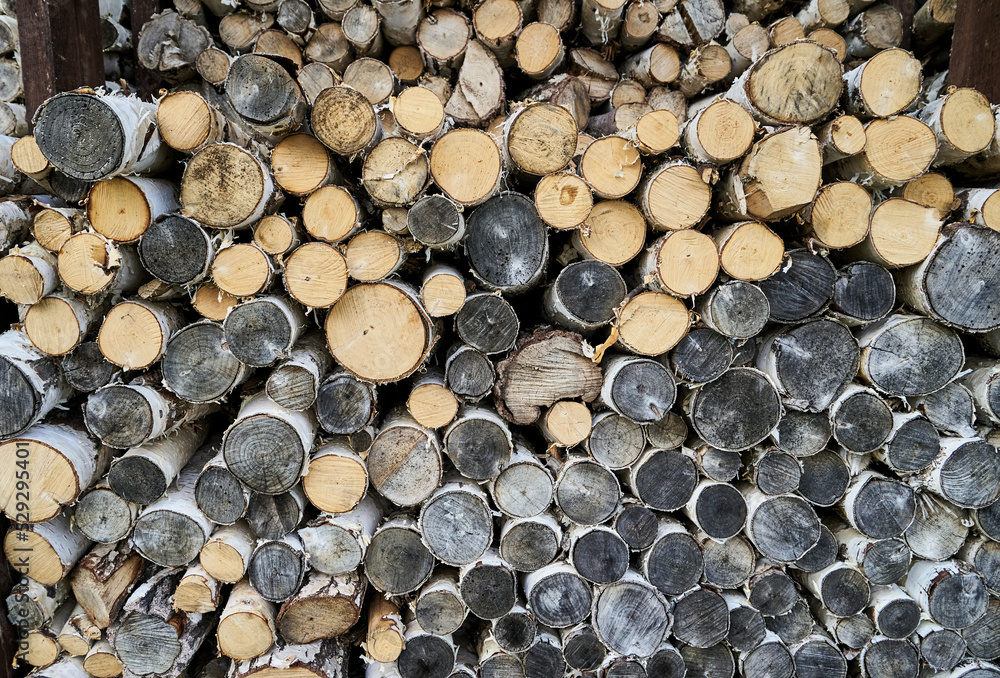 A lot of round harvested firewood in the woodpile. High quality photo