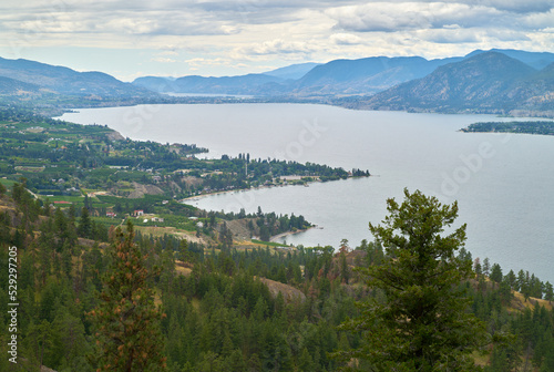 Naramata Hillside and Okanagan Lake Overview. The forest and hills above the Naramata vineyards and Okanagan Lake, British Columbia, Canada.   © maxdigi