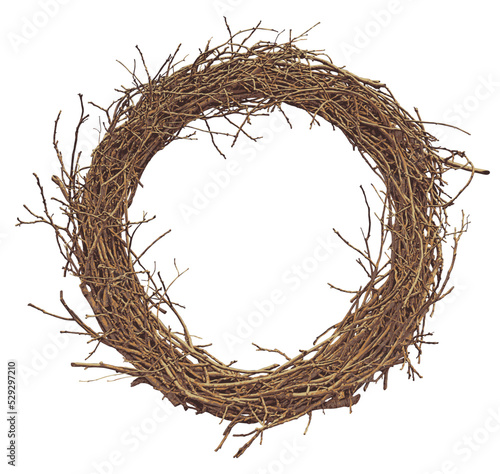 Vector wreath of tree branches in retro style. Vector decorative illustration. Round frame made of wooden vines