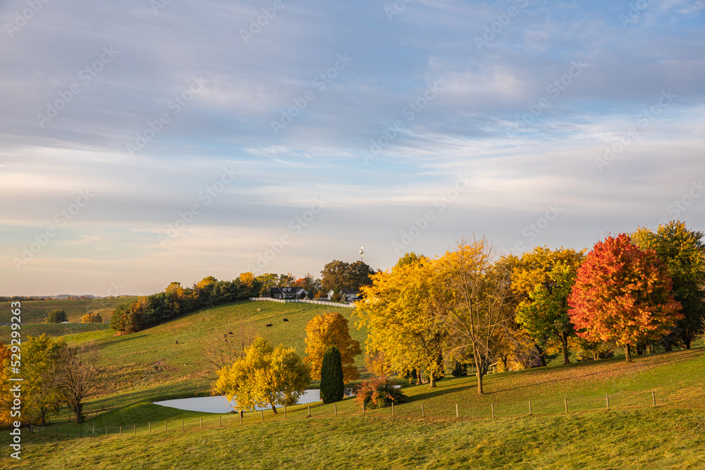 Colorful autumn trees and a pond on a hillside in Amish country, Ohio