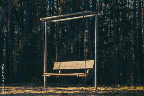 swing in the park