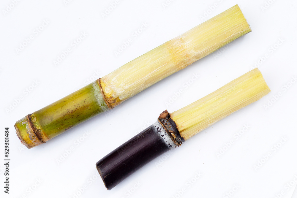 Fototapeta premium Sugar cane with brown sugar on white background