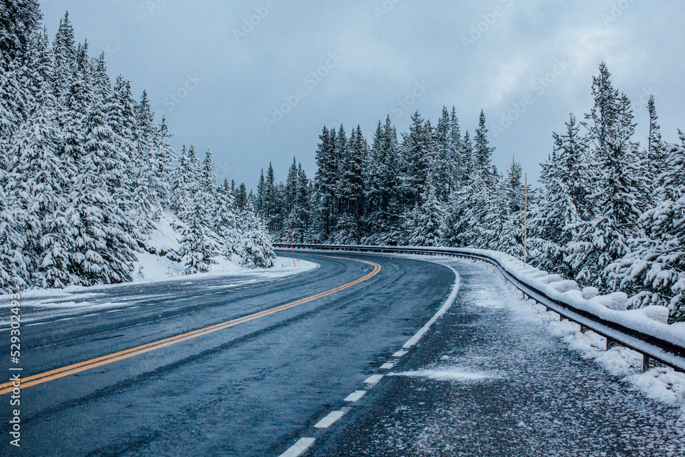View of road amidst snow covered trees against sky View of road amidst snow covered trees against sky