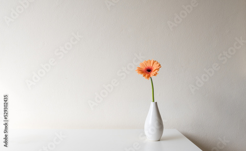 Single orange gerbera daisy in small white vase on table against neutral wall background with copy space
