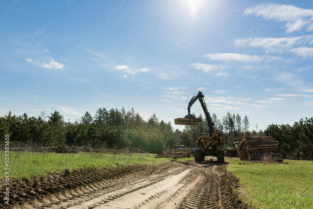 Crane on dirt road carrying logs against sky Crane on dirt road carrying logs against sky
