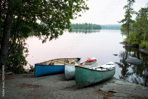 Canoes on retaining wall at lakeshore by trees
