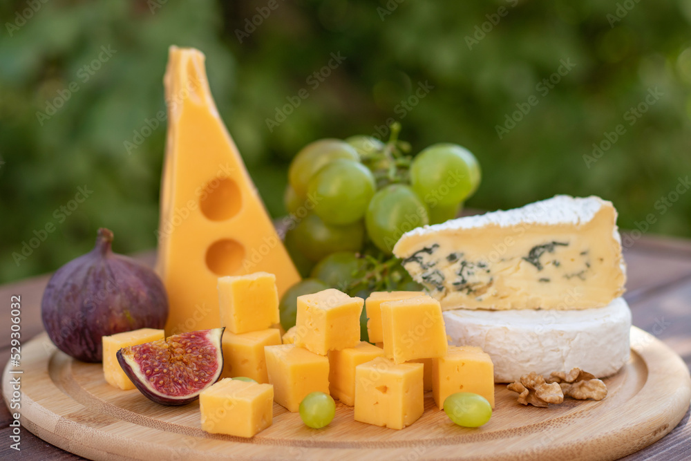 Cheese board with different types of cheese against lush foliage background. Brie, camembert and cheese with grapes and figs on the table. Selective focus