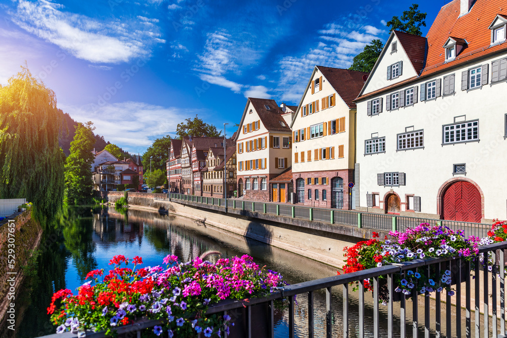 Beautiful floral colorful town Tubingen in Germany (Baden-Wurttemberg). Houses at river Neckar and Hoelderlin tower, Tuebingen, Baden-Wuerttemberg, Germany. Tubingen, Germany. - obrazy, fototapety, plakaty 