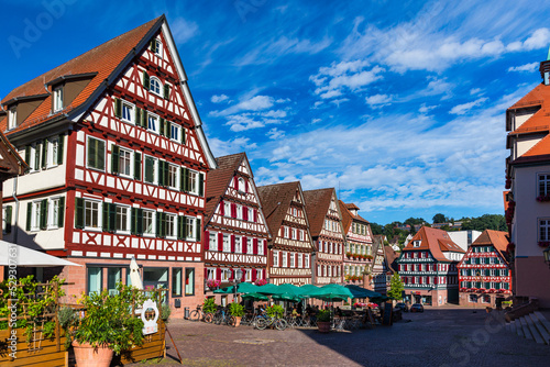Beautiful floral colorful town Tubingen in Germany  Baden-Wurttemberg . Houses at river Neckar and Hoelderlin tower  Tuebingen  Baden-Wuerttemberg  Germany. Tubingen  Germany.