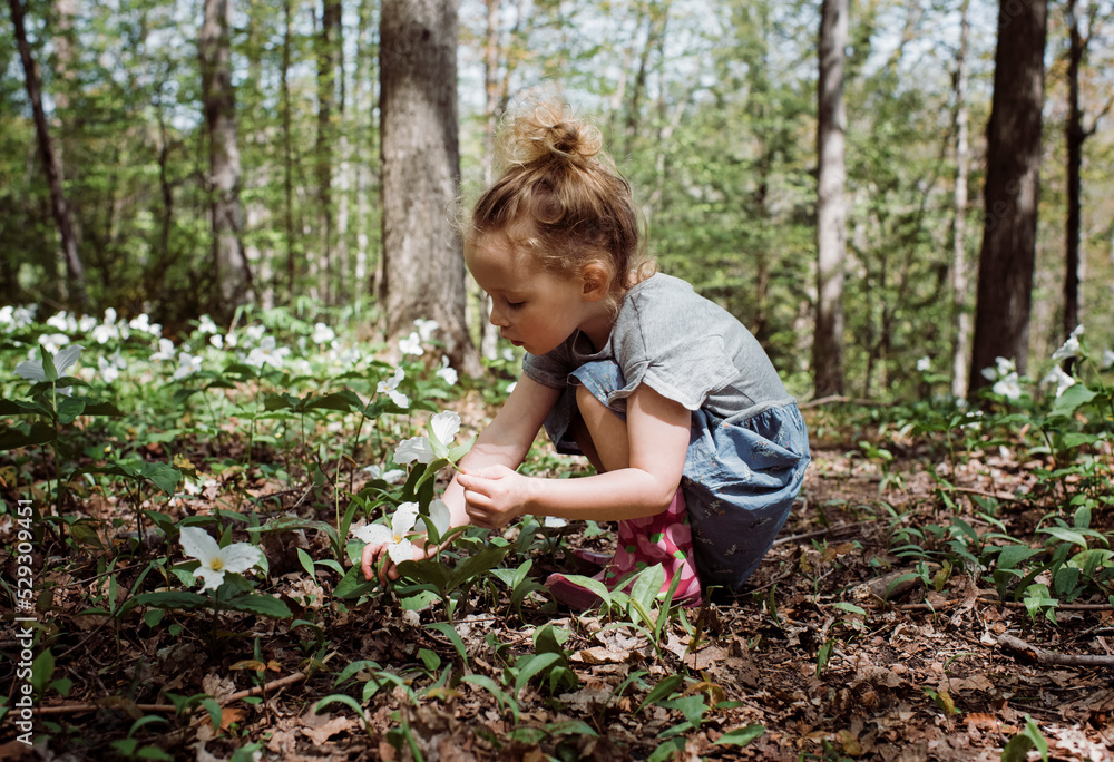 Side view of girl picking white flowers from field while crouching in forest Side view of girl picking white flowers from field while crouching in forest